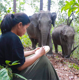 Hiking with Elephants And Camping
